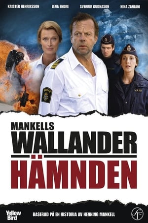 Póster de la película Hämnden