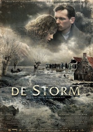 Póster de la película De storm