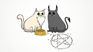 Gatitos explosivos latino 2024 1080p temporada 1