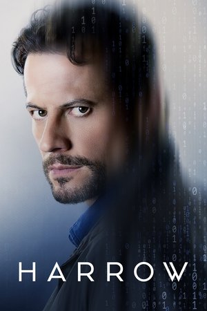 Póster de la serie Harrow