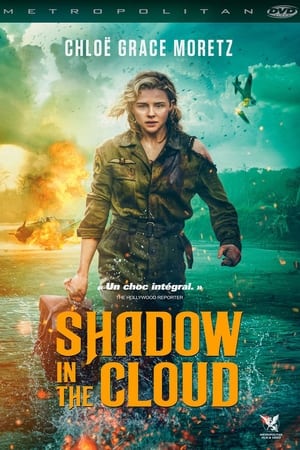 Film Shadow in the Cloud streaming VF gratuit complet