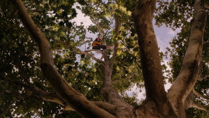 Flipped