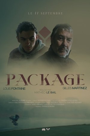 Póster de la película PACKAGE