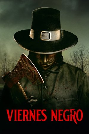 Póster de la película Black Friday