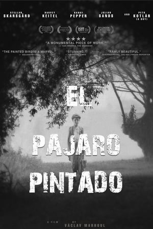 Póster de la película El pájaro pintado