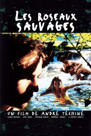 Les Roseaux sauvages Streaming VF VOSTFR