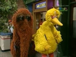 Backdrop image for Big Bird, Snuffy and Friends Hike