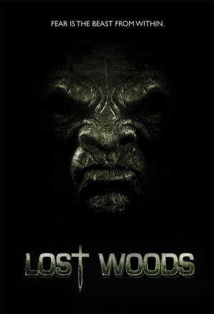 Póster de la película Lost Woods