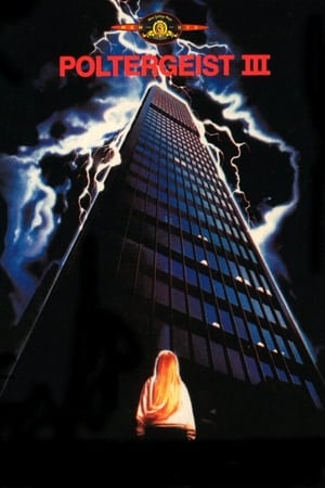 Póster de la película Poltergeist III