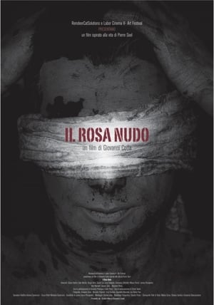 Póster de la película Il Rosa Nudo