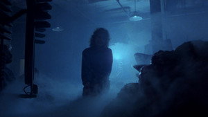 The Fly
