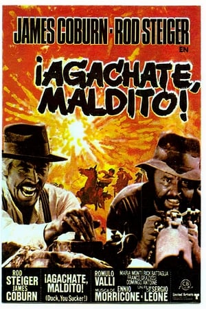 Póster de la película Agachate, maldito!