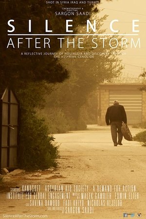 watch silence after the storm movie poster