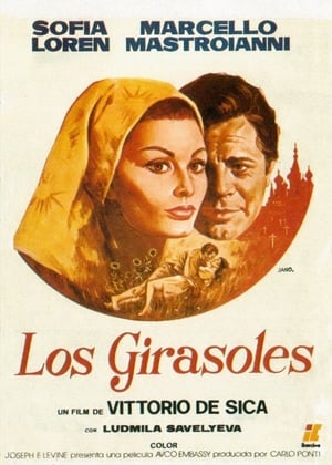 Póster de la película Los girasoles