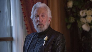 The Hunger Games: Mockingjay - Part 2