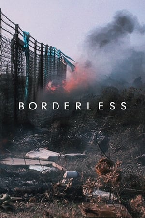 Póster de la película Borderless