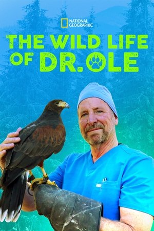 watch the wild life of dr. ole tv show poster