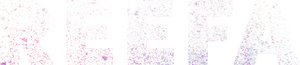 Reefa: El artista