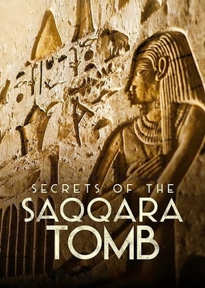 Póster de la película Los secretos de la tumba de Saqqara