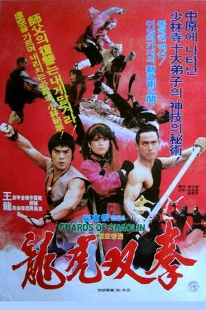 Póster de la película Ninja contra los Shaolin