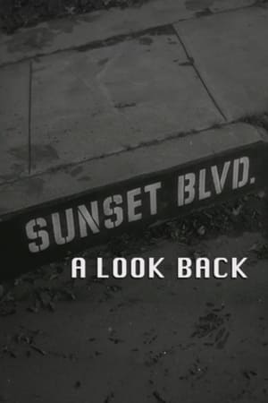 Póster de la película Sunset Boulevard: A Look Back