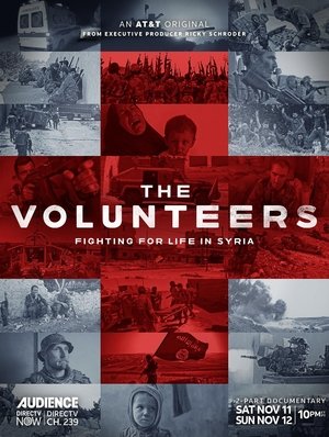 watch the volunteers tv show poster