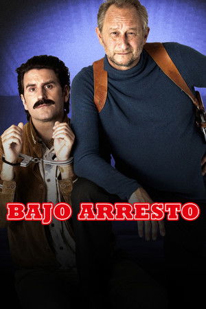 Póster de la película Bajo arresto