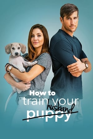 Póster de la película How to Train Your Husband