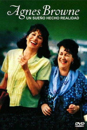 Póster de la película Agnes Browne: un sueño hecho realidad