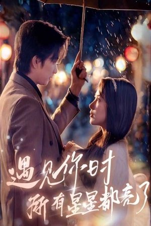 watch 遇见你时所有星星都亮了 tv show free online poster