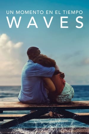 Póster de la película Un momento en el tiempo (Waves)