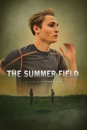 Póster de la película The Summer Field
