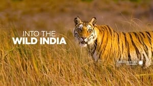 poster Into the Wild: India