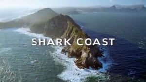 Shark Coast