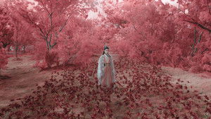 Whispers of Fate Season 1 อสิธารา ชะตามังกร ปี 1 ตอนที่ 9