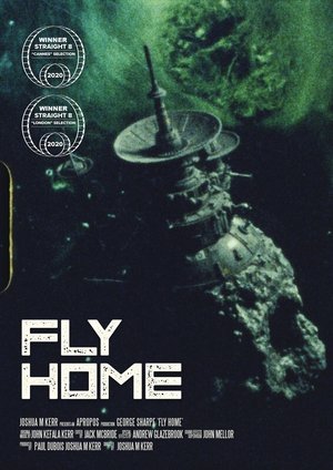 Image Fly Home