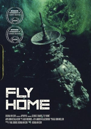 Poster Fly Home 2024