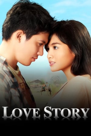 Poster Love Story (2011)