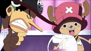 One Piece: Season 10 Episode 340