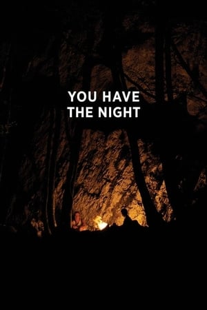 Poster You Have the Night 2018