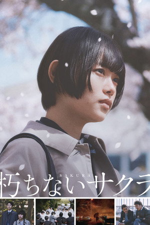 Sakura