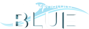 Dolphin Reef — Logos 2