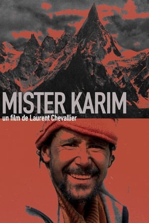 Poster di Mister Karim