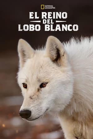 El Reino de el Lobo Blanco