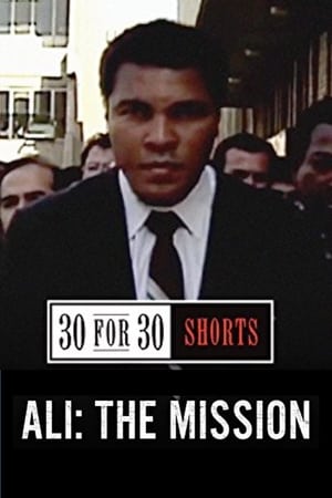 Poster Ali: The Mission (2013)