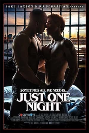 Poster Just One Night (2018)