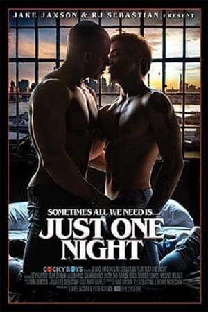 Poster Just One Night 2018