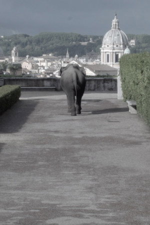 Metodo dei Loci