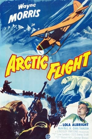 Arctic Flight film complet