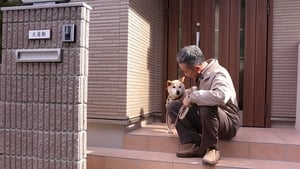 犬屋敷 真人版